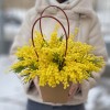 Ароматная мимоза в сумочке