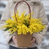 Ароматная мимоза в сумочке