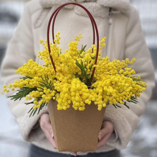 Ароматная мимоза в сумочке