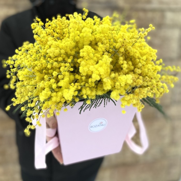 Композиция из мимозы в коробке