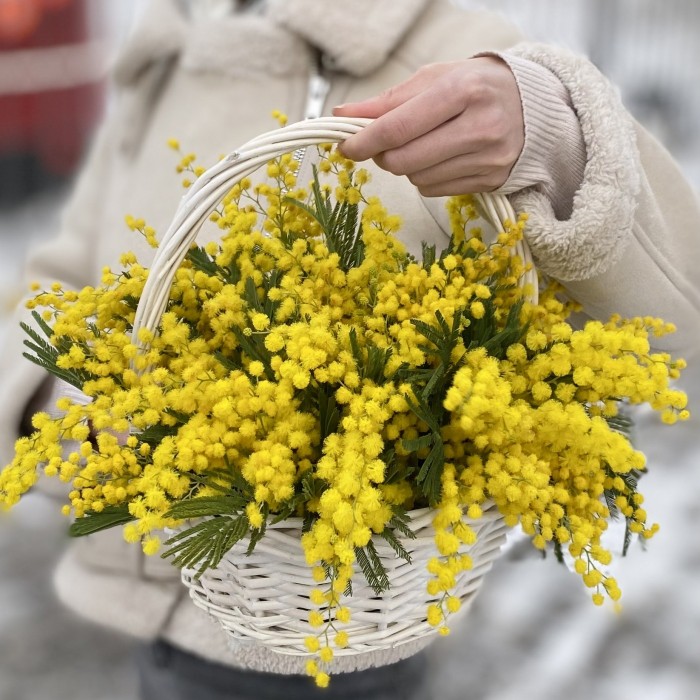 Композиция из мимозы в корзине