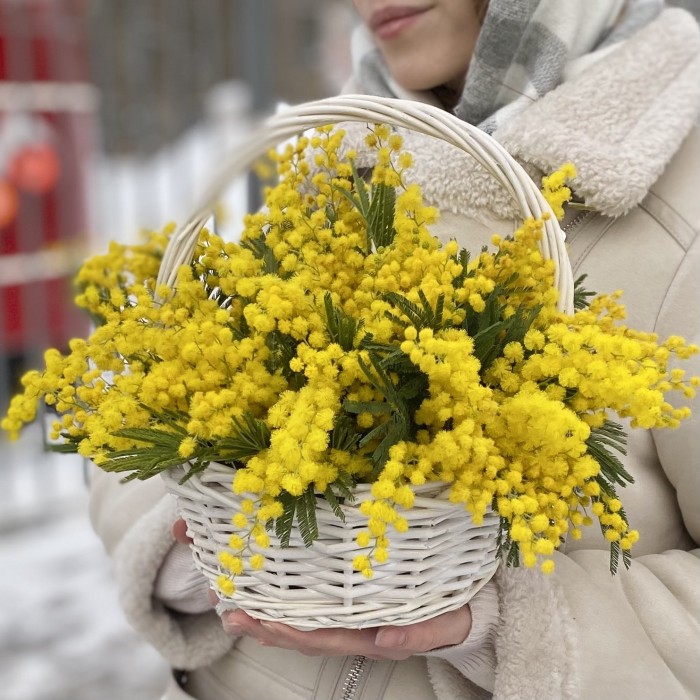 Композиция из мимозы в корзине