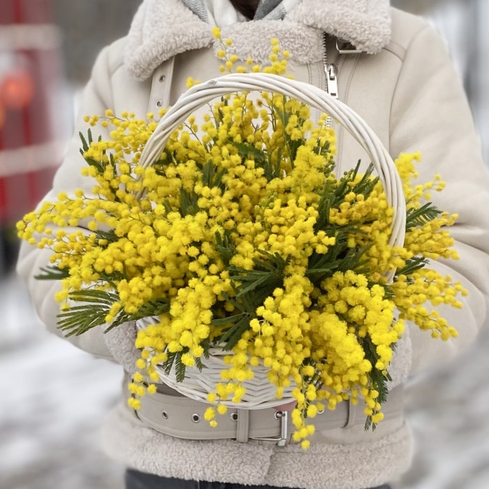 Композиция из мимозы в корзине