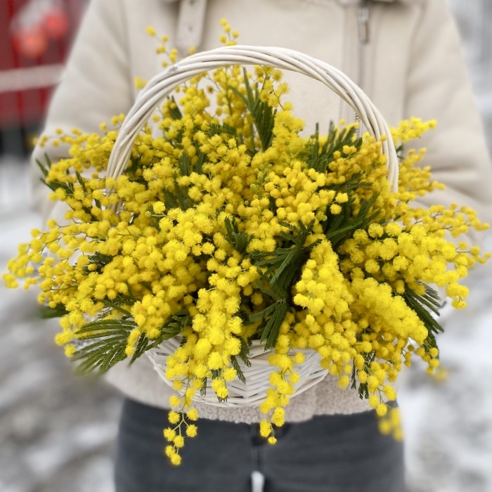 Композиция из мимозы в корзине
