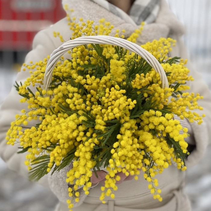 Композиция из мимозы в корзине