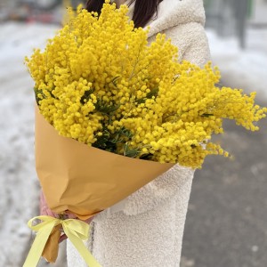 Букет из  ароматной мимозы 500г