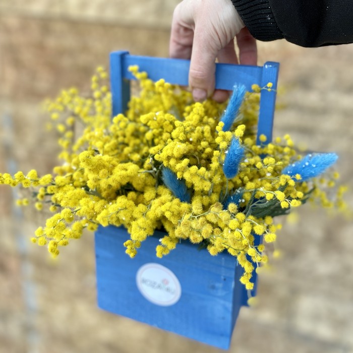 Мимоза в деревянном кашпо