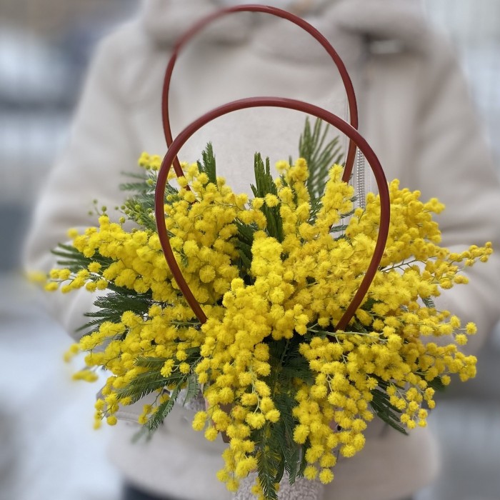 Мини композиция из мимозы