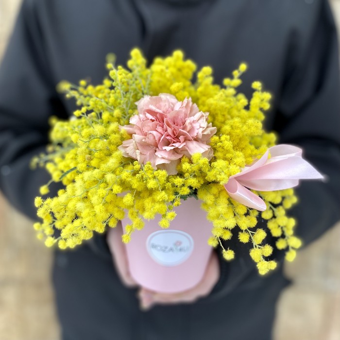 Мимоза в мини коробке