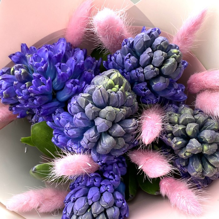 Букет из гиацинтов и сухоцветов