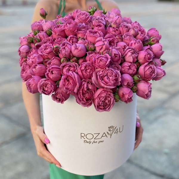 31 кустовая пионовидная роза Мисти Баблс в коробке