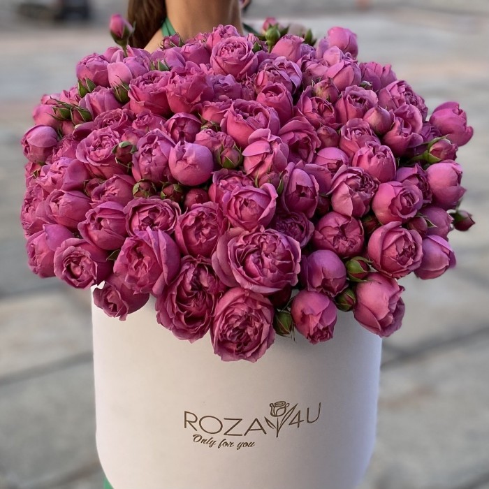 31 кустовая пионовидная роза Мисти Баблс в коробке