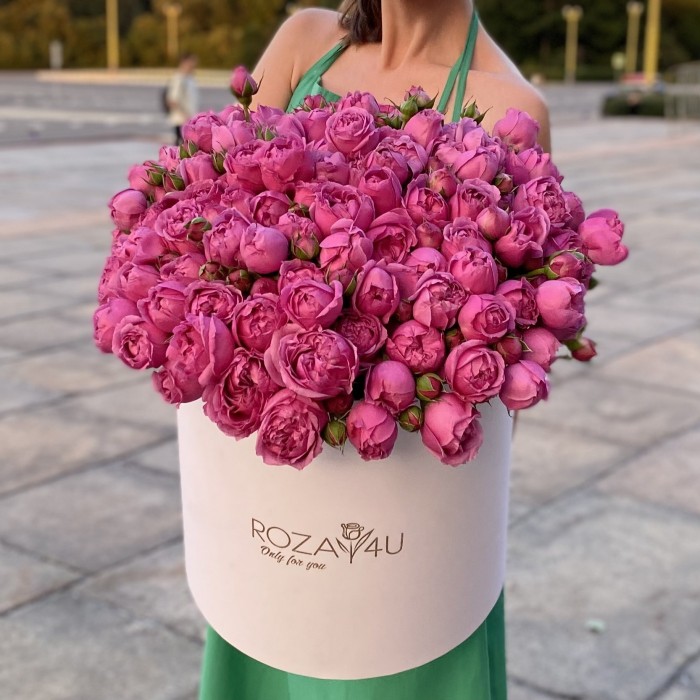 31 кустовая пионовидная роза Мисти Баблс в коробке