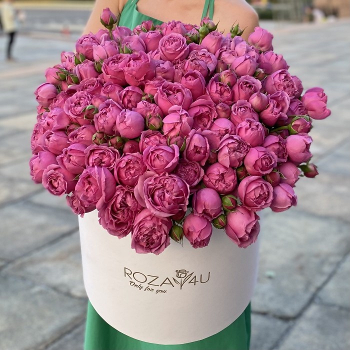 31 кустовая пионовидная роза Мисти Баблс в коробке