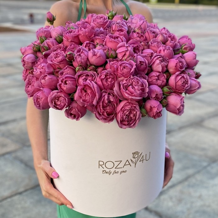 31 кустовая пионовидная роза Мисти Баблс в коробке