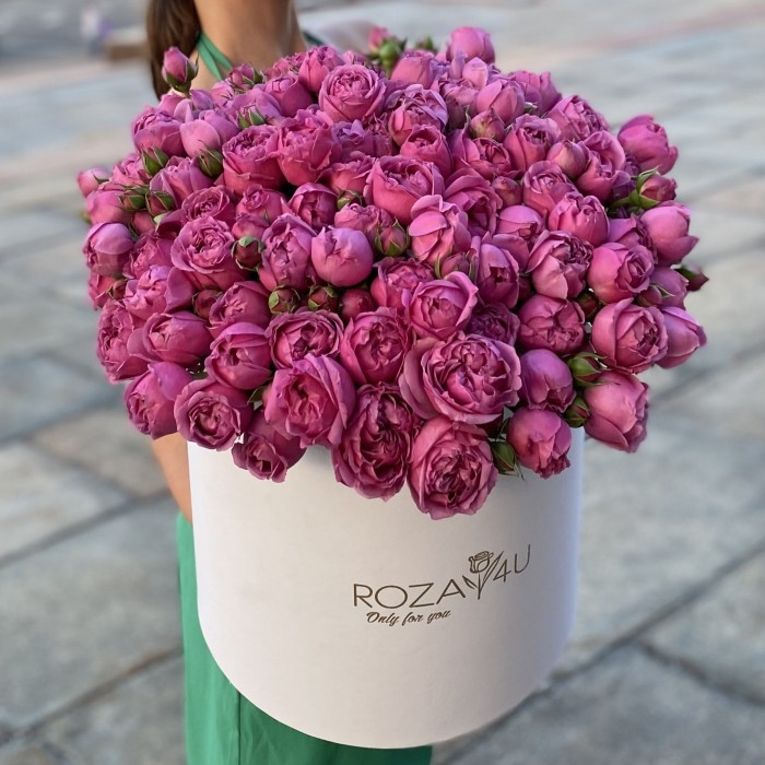 31 кустовая пионовидная роза Мисти Баблс в коробке