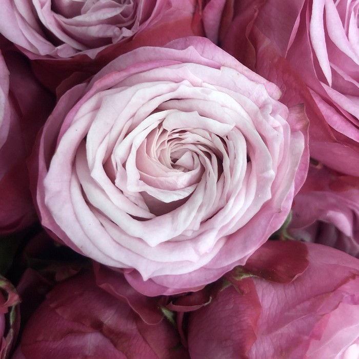 Букет Мисти Баблс