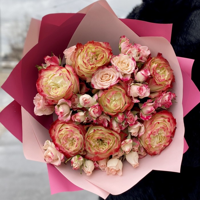 Пионовидная роза Эппл Джек и Рефлекс