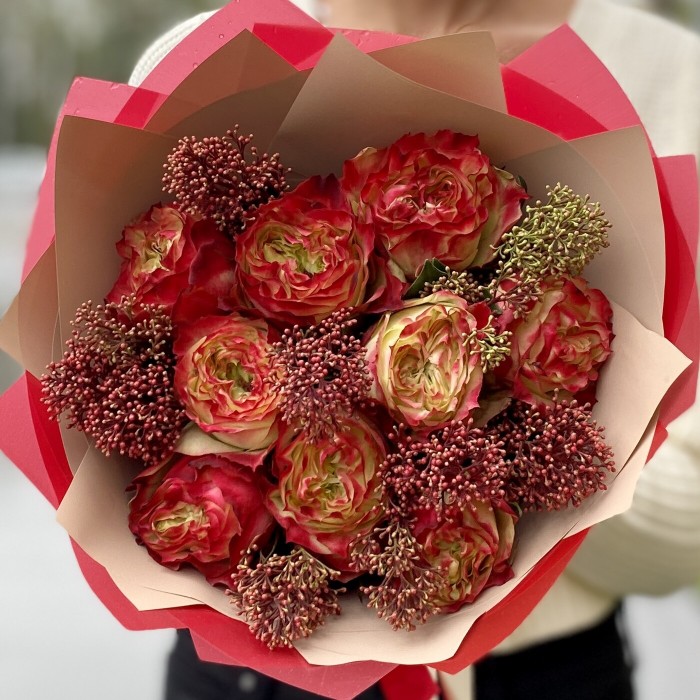 Пионовидная роза Эппл Джек и Скимия