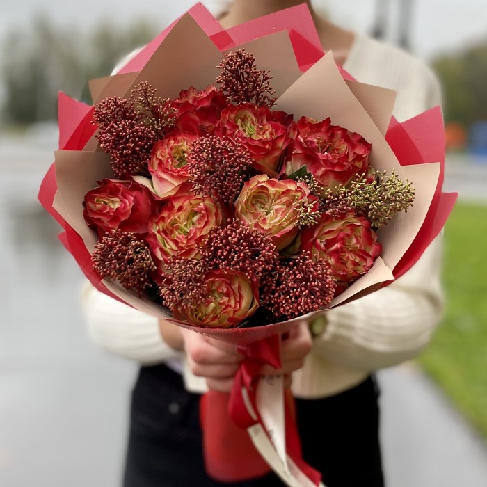 Пионовидная роза Эппл Джек и Скимия