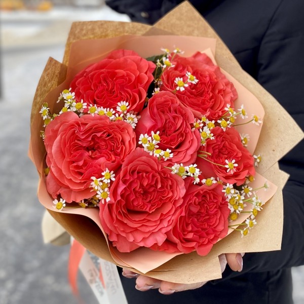 7 пионовидных роз Корал Рива с ромашками