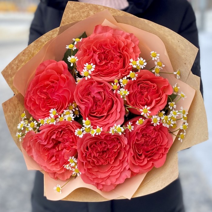 7 пионовидных роз Корал Рива с ромашками