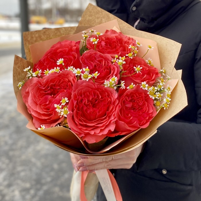 7 пионовидных роз Корал Рива с ромашками