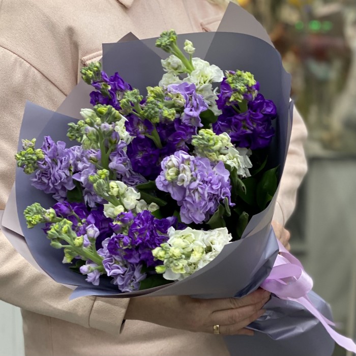 Микс фиолетовых маттиол