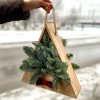 Нобилис в деревянной основе