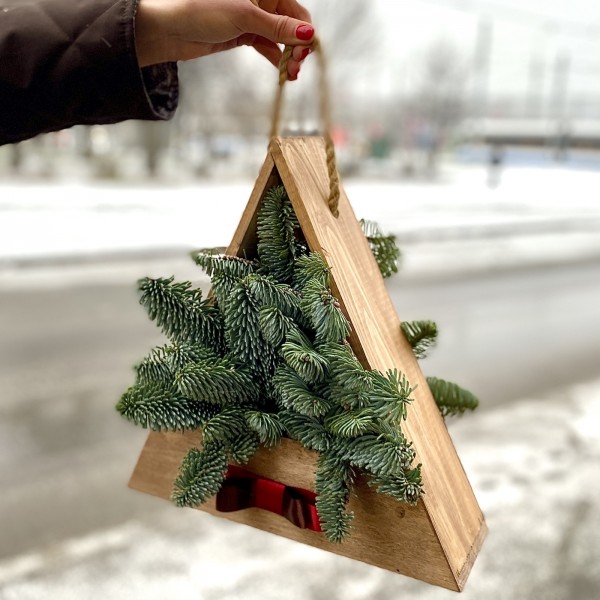 Нобилис в деревянной основе