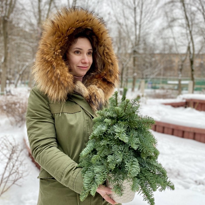 Елка из нобилиса