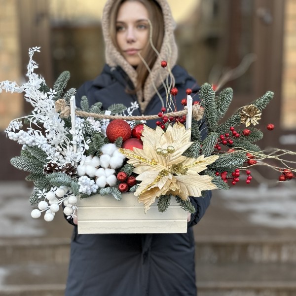 Композиция Зимнее утро с нобилисом