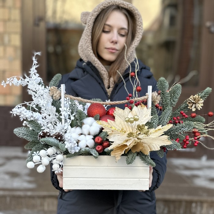 Композиция Зимнее утро с нобилисом