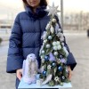 Новогодняя композиция с пингвином