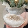Золотая новогодняя композиция в стекле