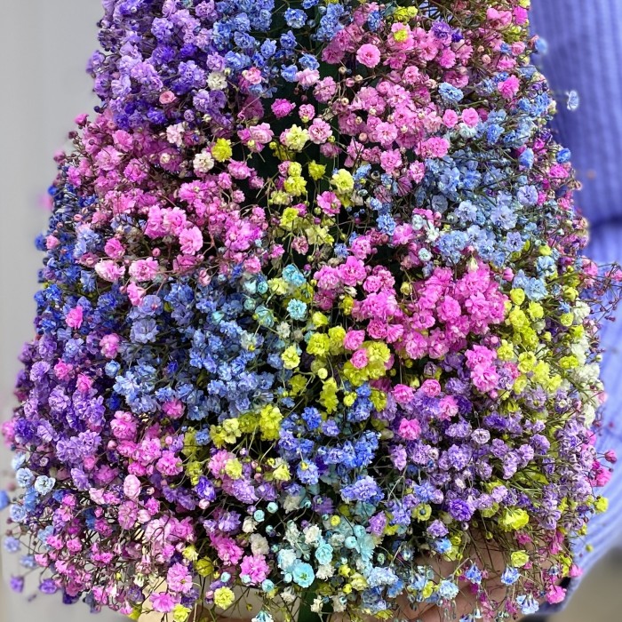 Радужная елка из гипсофилы