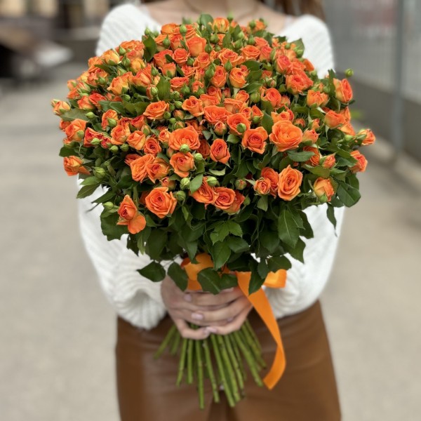 Оранжевая кустовая роза Чарминг Бейб