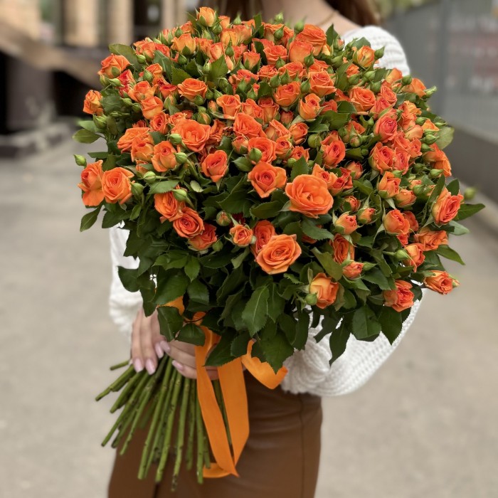 Оранжевая кустовая роза Чарминг Бейб