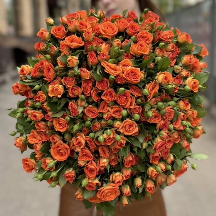 Оранжевая кустовая роза Чарминг Бейб