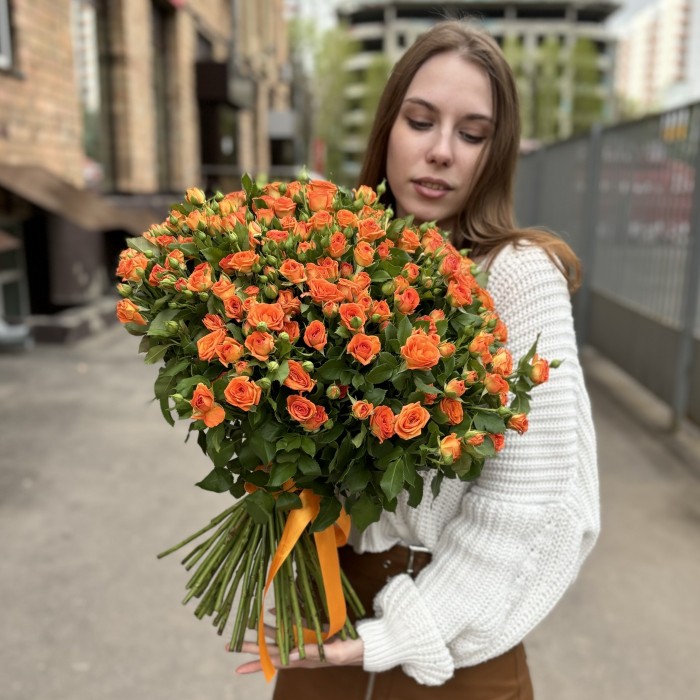 Оранжевая кустовая роза Чарминг Бейб