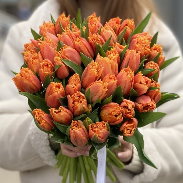 Оранжевые махровые тюльпаны Оранж пэшн