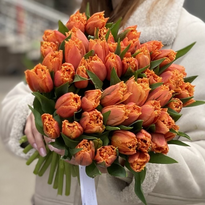 Оранжевые махровые тюльпаны Оранж пэшн