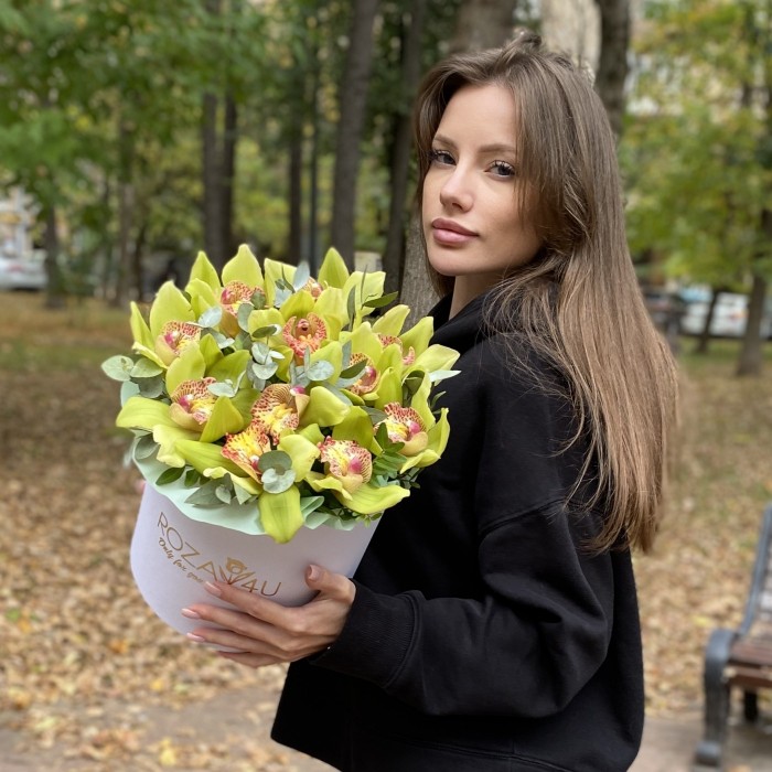 11 зеленых орхидей Цимбидиум с эвкалиптом в коробке