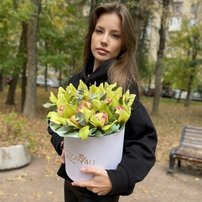 11 зеленых орхидей Цимбидиум с эвкалиптом в коробке