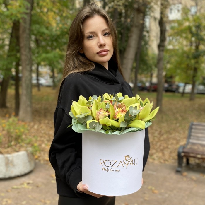 11 зеленых орхидей Цимбидиум с эвкалиптом в коробке