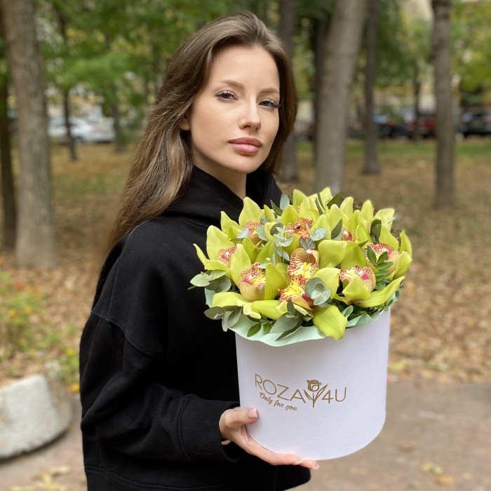 11 зеленых орхидей Цимбидиум с эвкалиптом в коробке