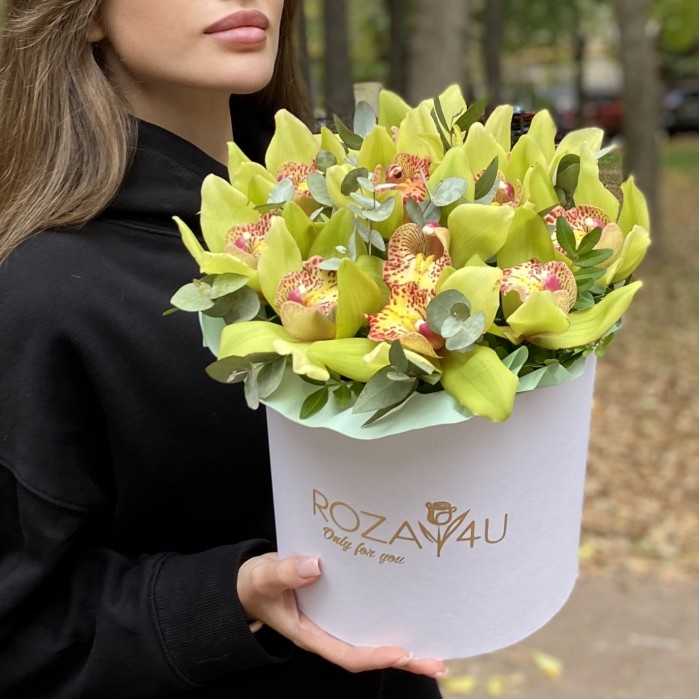 11 зеленых орхидей Цимбидиум с эвкалиптом в коробке