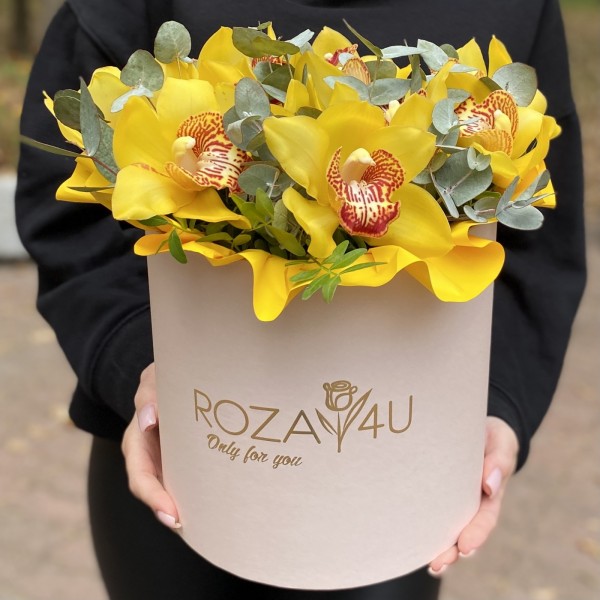 11 желтых орхидей Цимбидиум с эвкалиптом в коробке