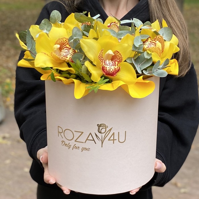 11 желтых орхидей Цимбидиум с эвкалиптом в коробке