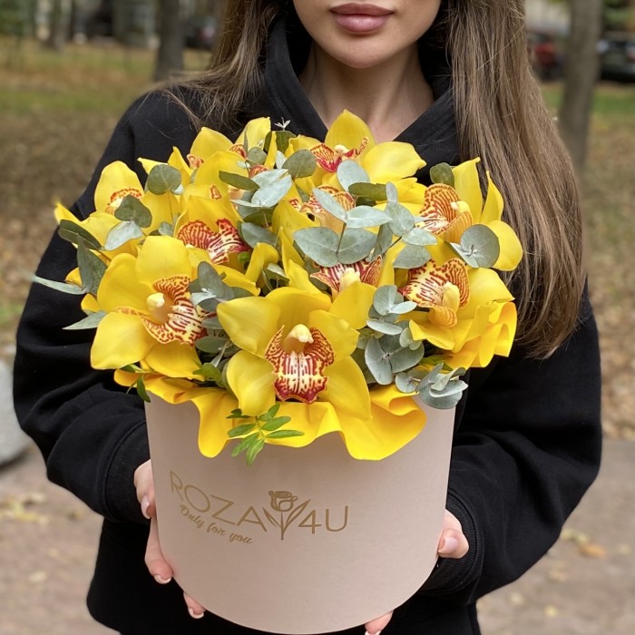 11 желтых орхидей Цимбидиум с эвкалиптом в коробке